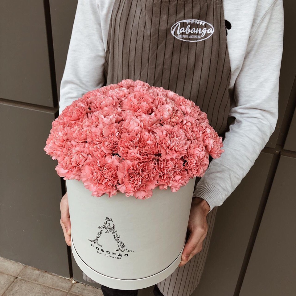 КОРОБОЧКА "ГАММИ"