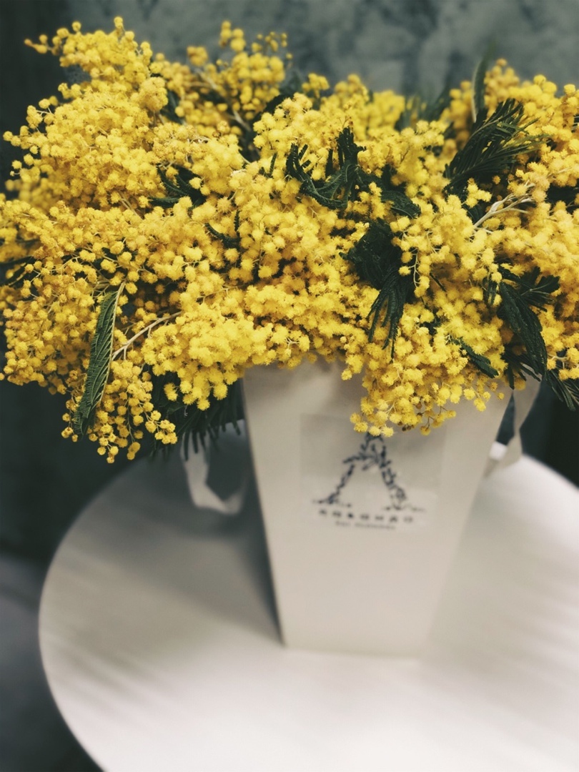 ПЛАЙМ "ЭЙ, АРНОЛЬД"