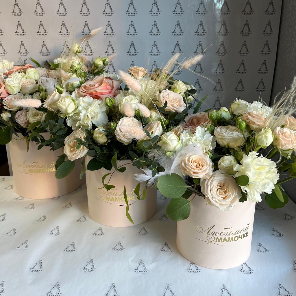 КОРОБОЧКА "WORLD"