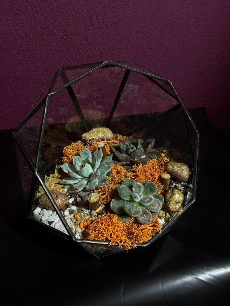 Флорариум 1