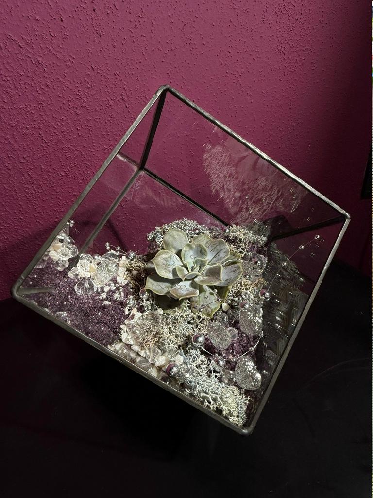 Флорариум 2