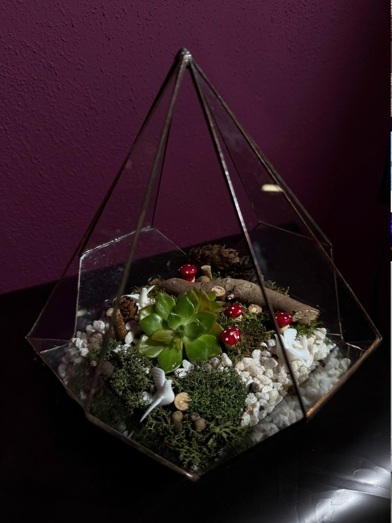 Флорариум 3