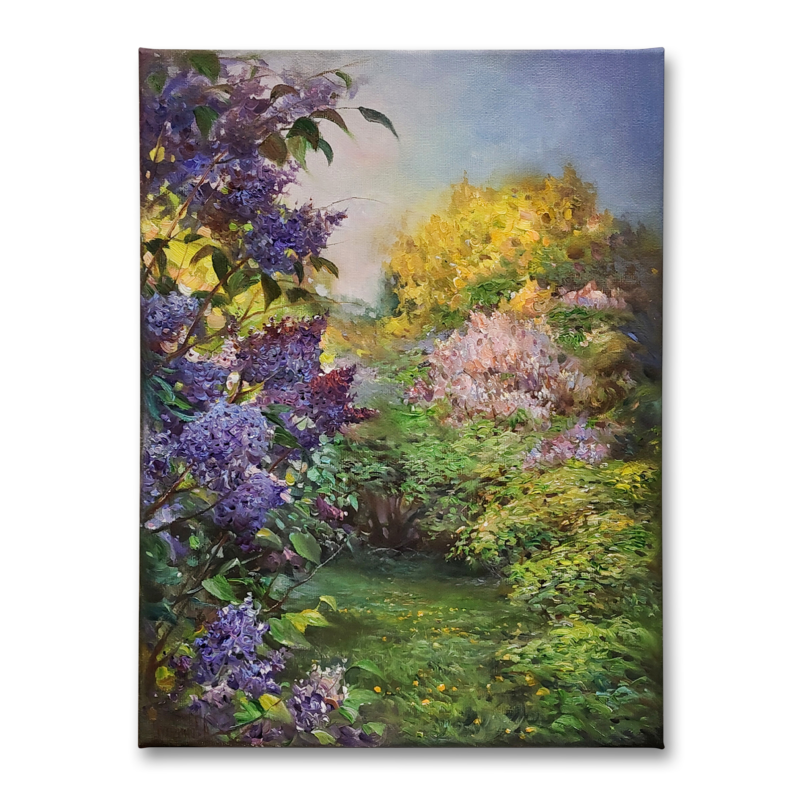 Цветение сирени 30x40 холст, масло