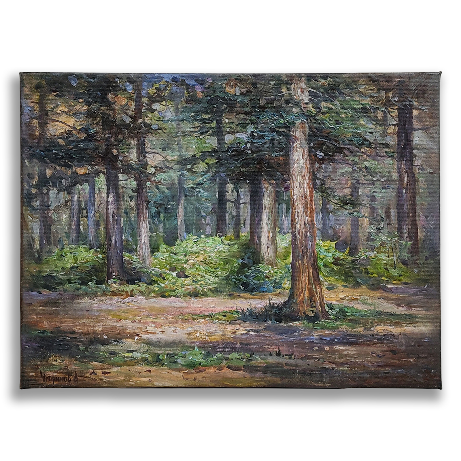 Солнечный лес 30x40 холст, масло