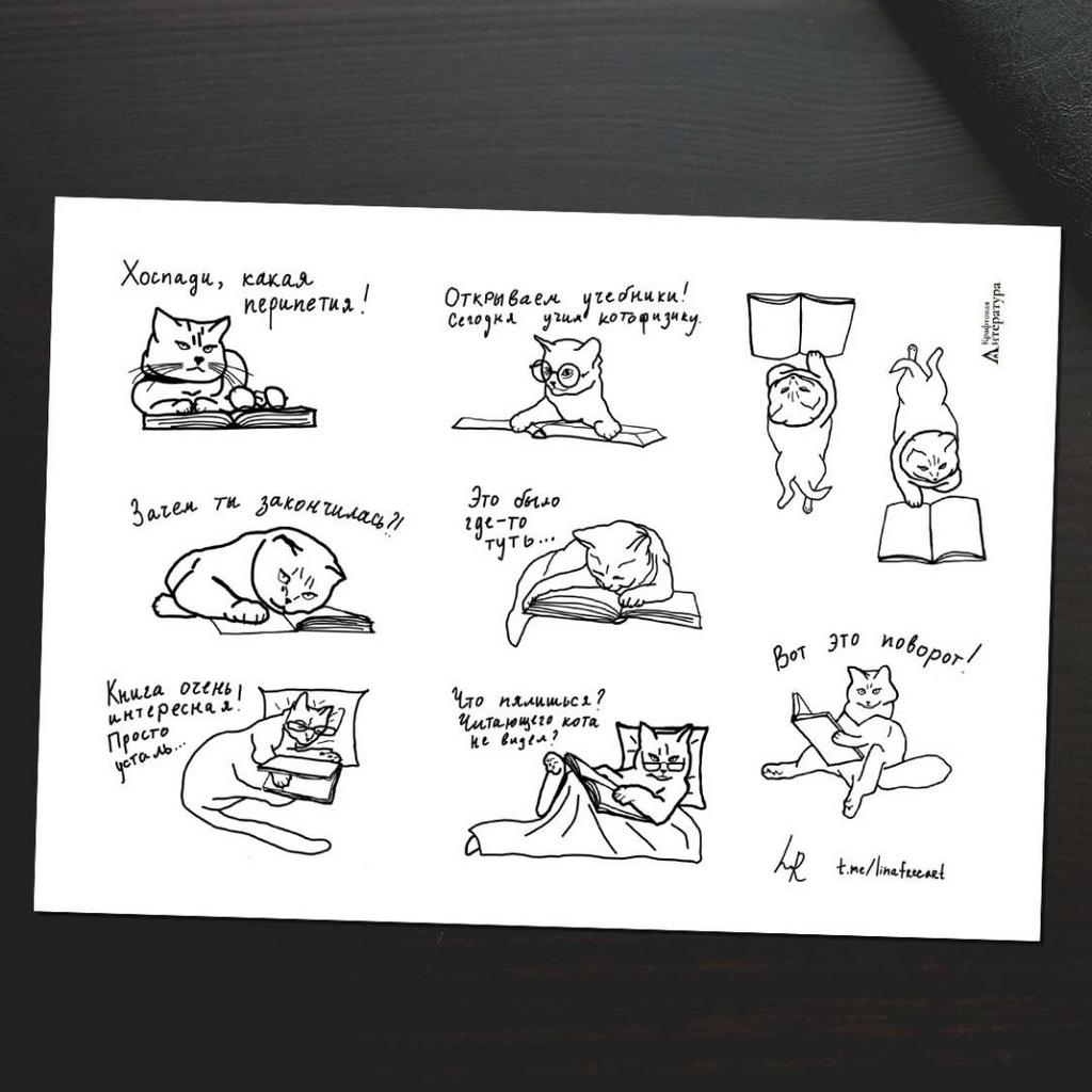 Стикерпак «Читающие коты»
