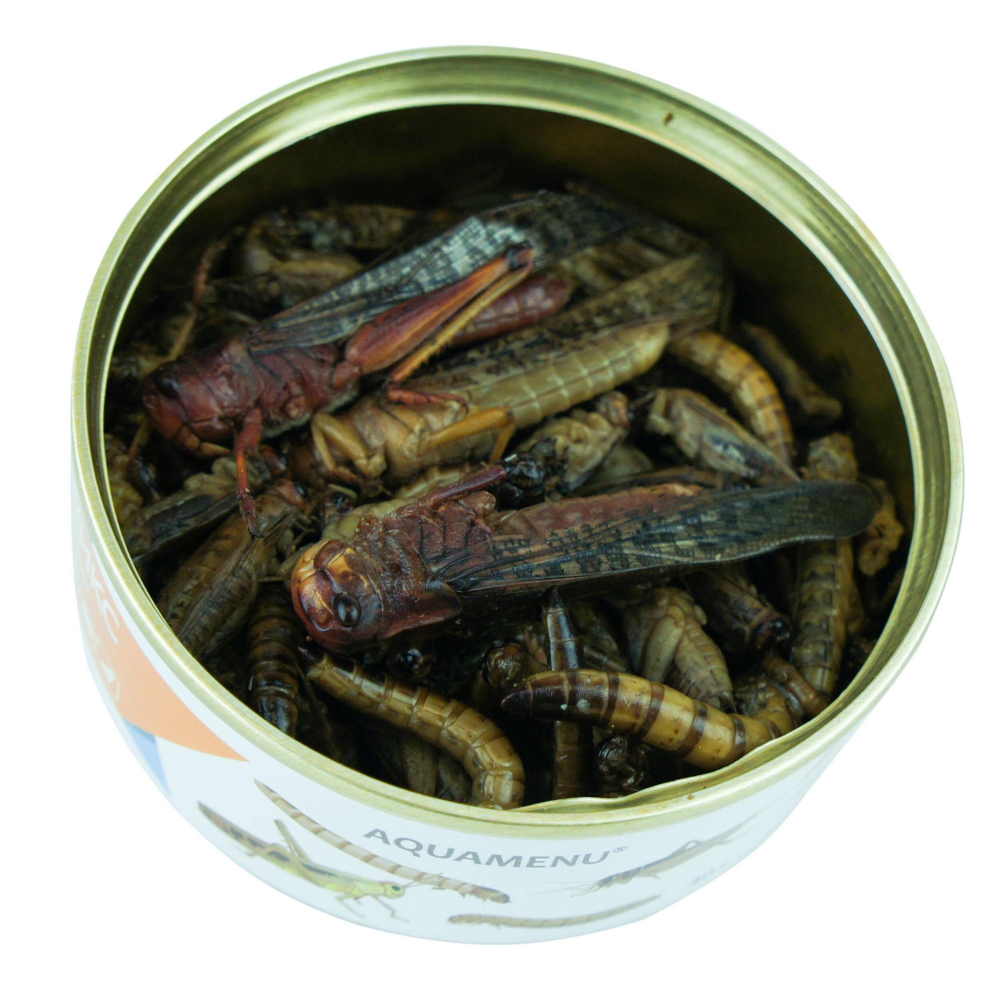 Экзомикс. Ассорти из насекомых, 40 г.