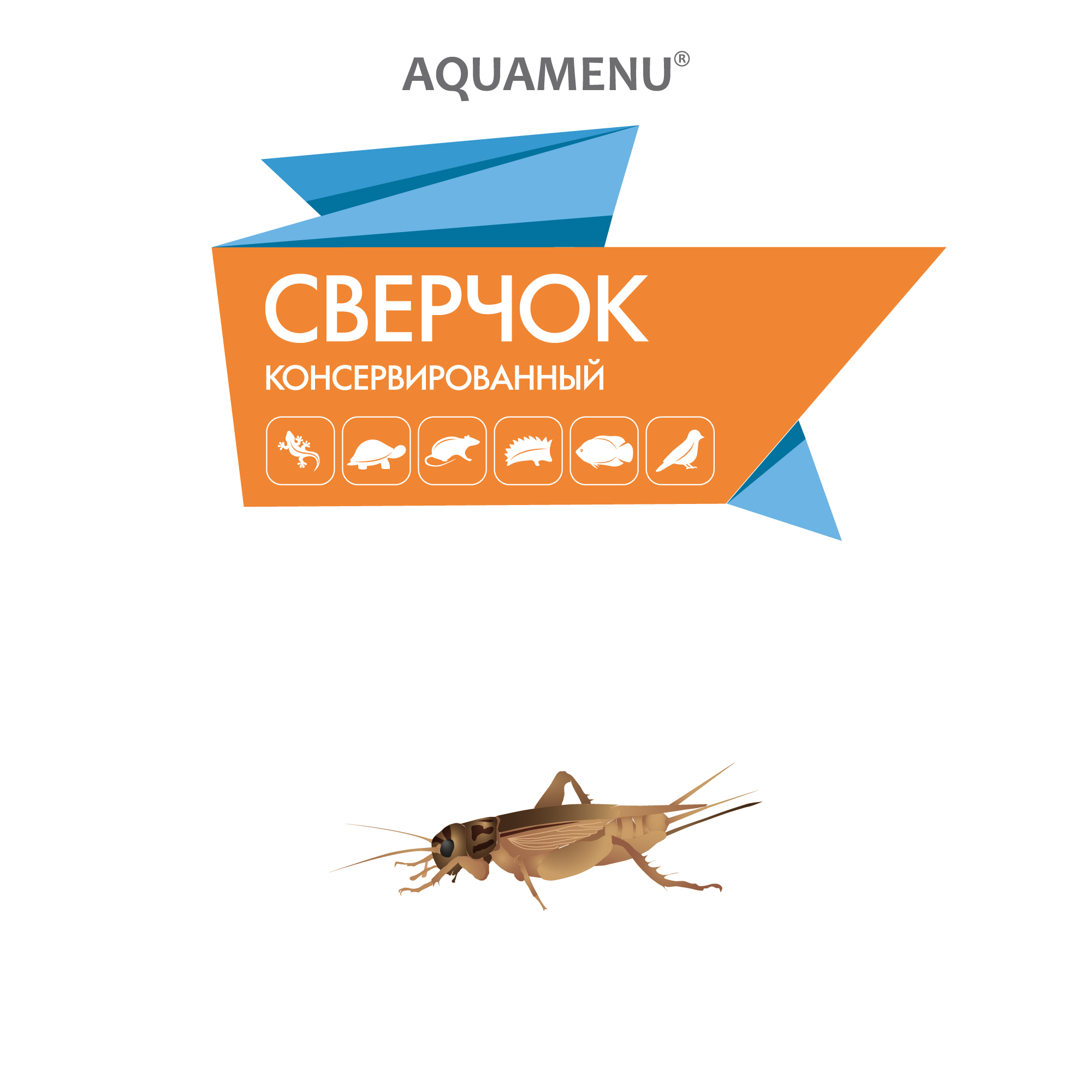 Сверчок домовый, 40 г.