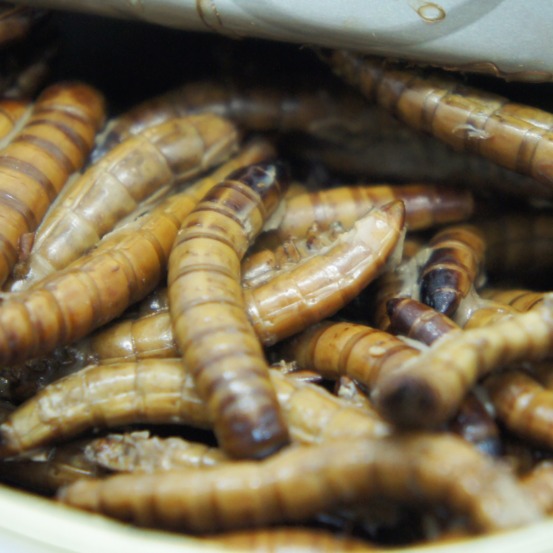 Зофобас, 40 г.