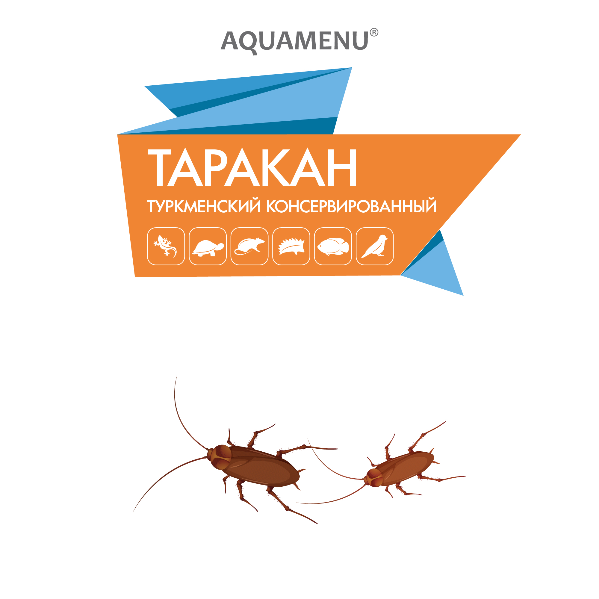 Таракан туркменский, 40 г.