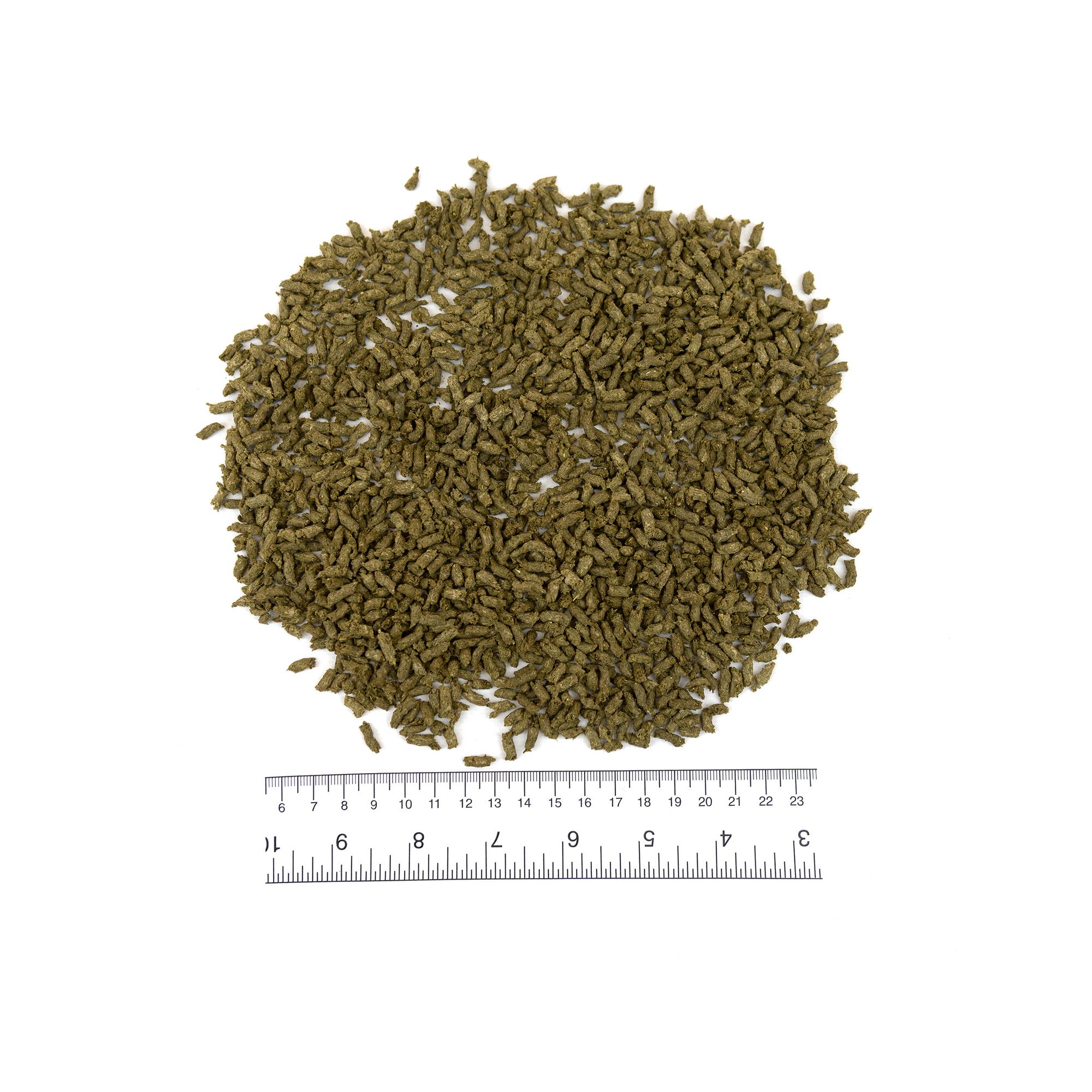 ГСК-ГОЛДИСТИКС-XL