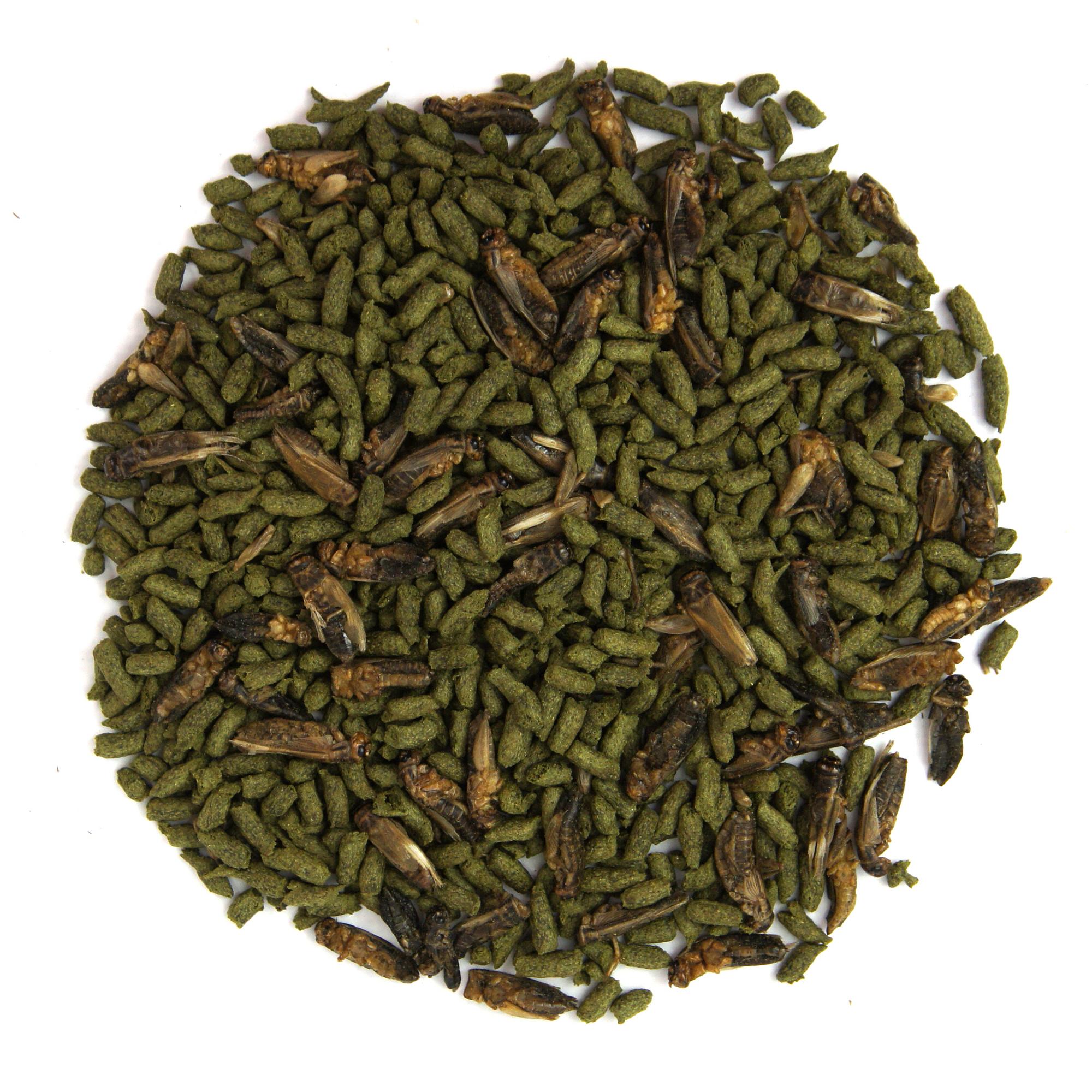 ТЕРРАМИКС СО СВЕРЧКОМ