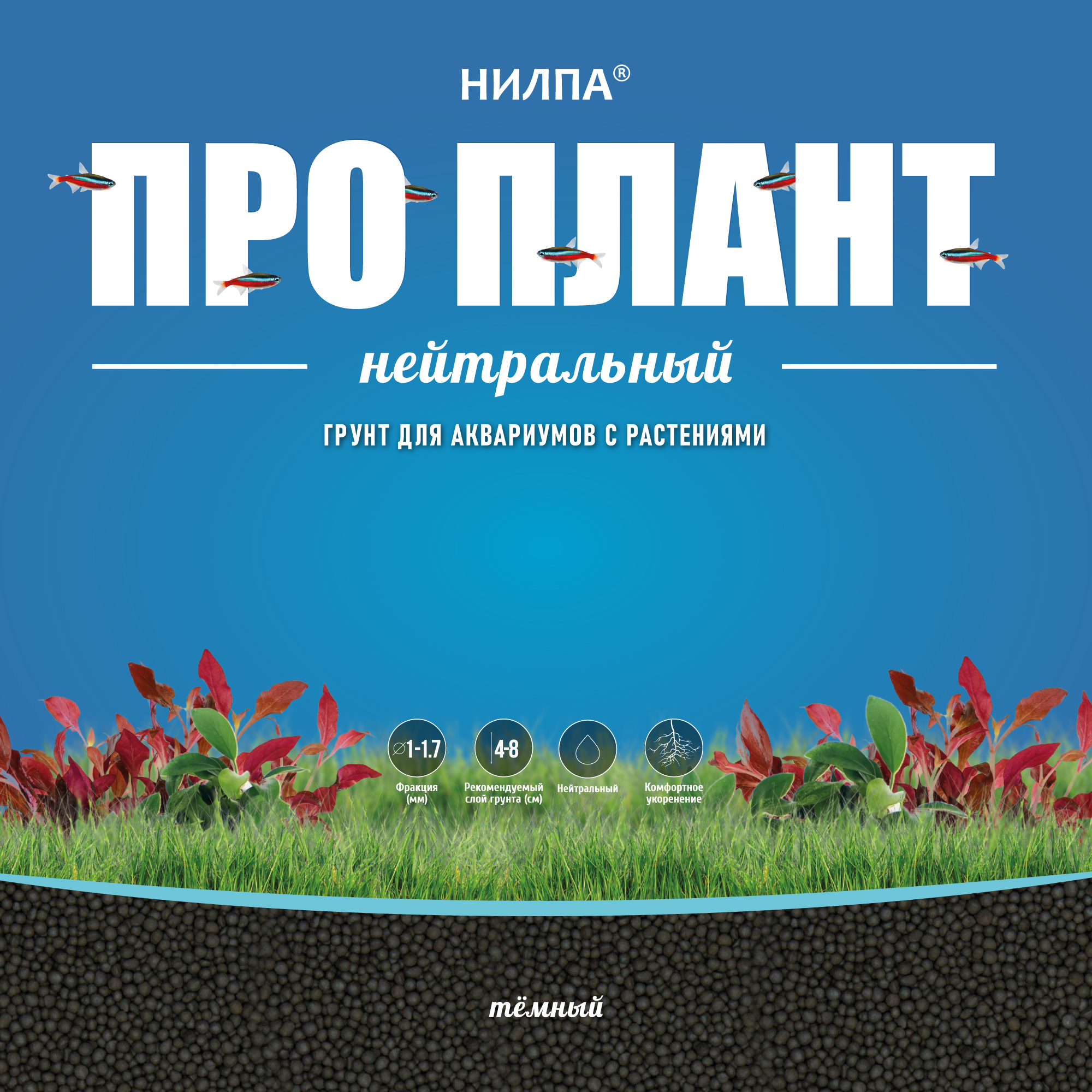 ПРО ПЛАНТ