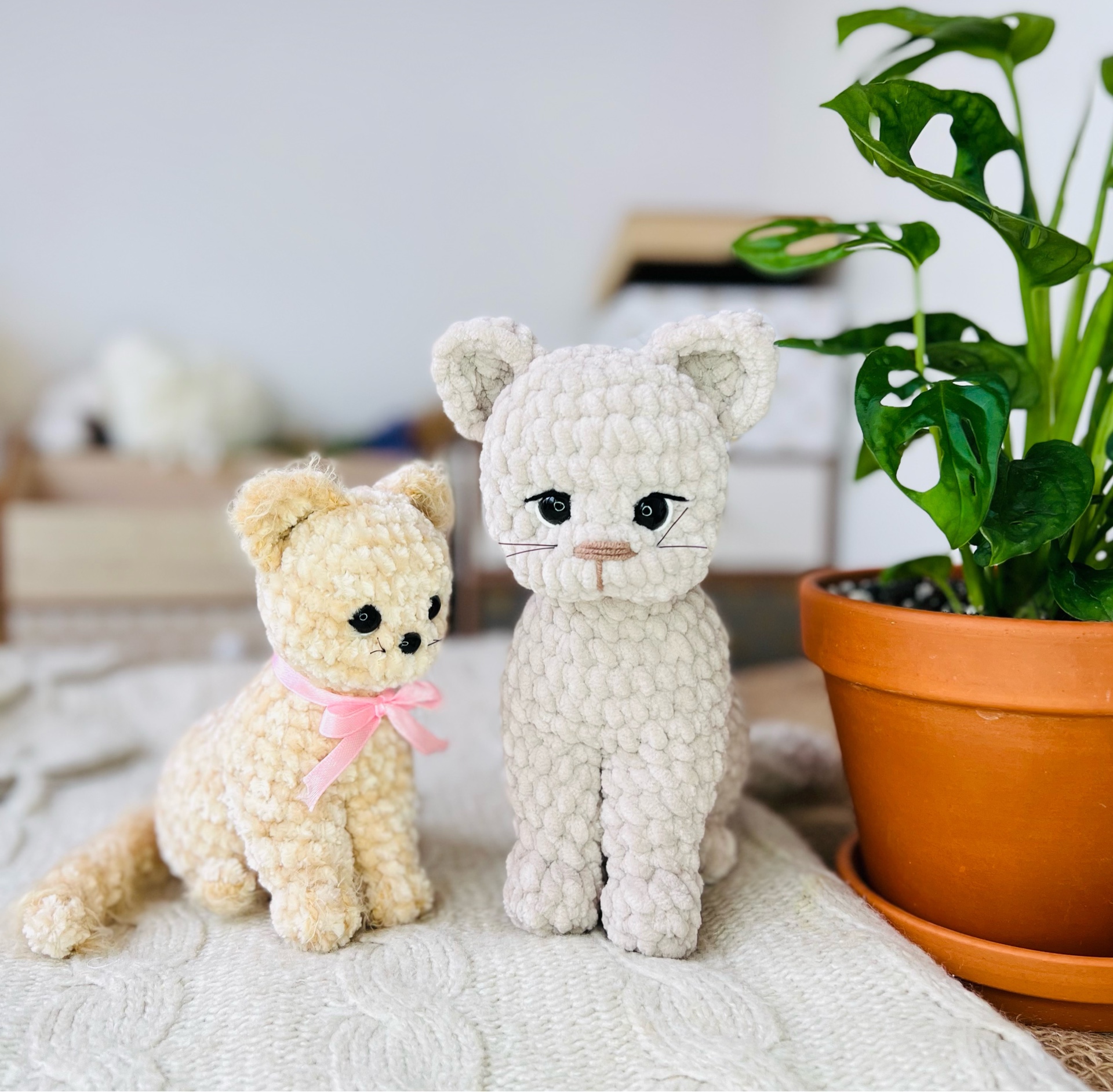 МК Малыш котик