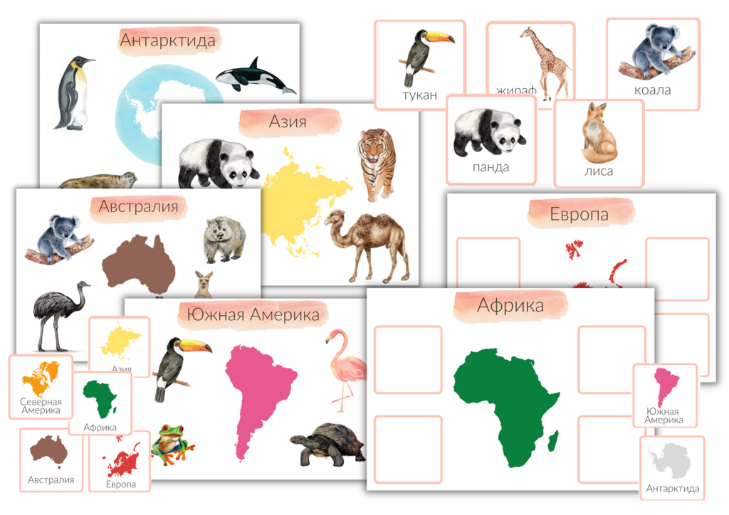 ПРОЕКТ "МАТЕРИКИ И ЖИВОТНЫЕ"