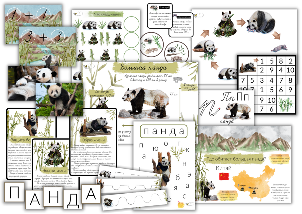 ПРОЕКТ "БОЛЬШАЯ ПАНДА"