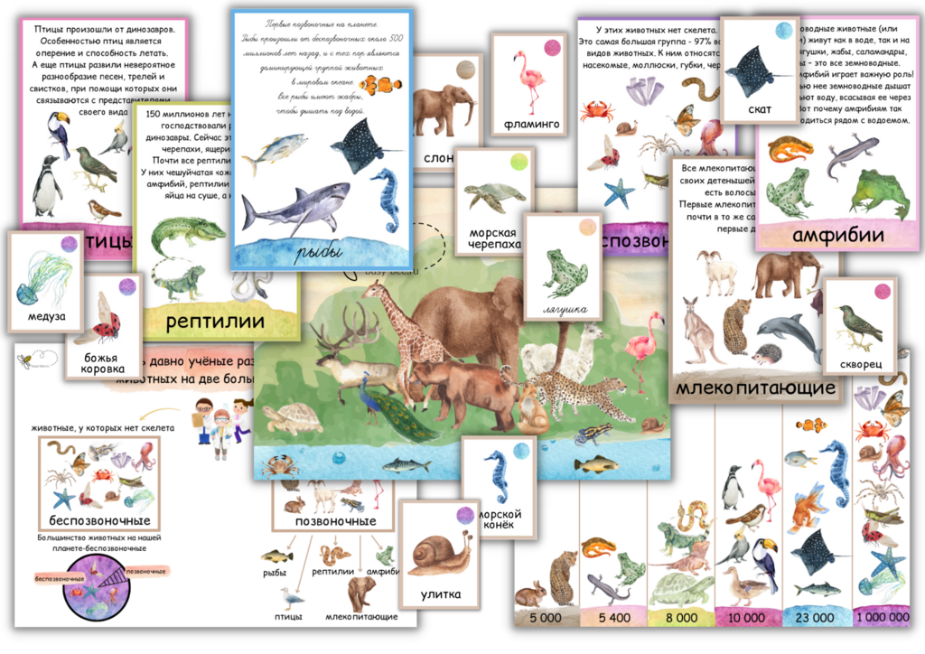 ПРОЕКТ "ГРУППЫ ЖИВОТНЫХ"
