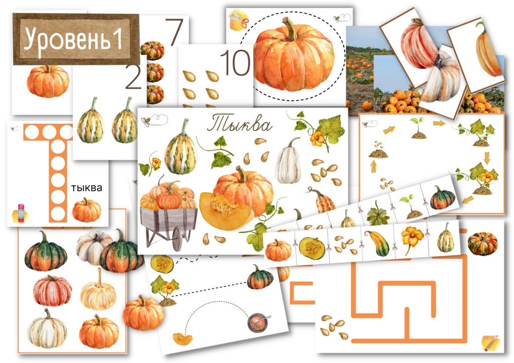 ПРОЕКТ "ТЫКВА" УРОВЕНЬ 1