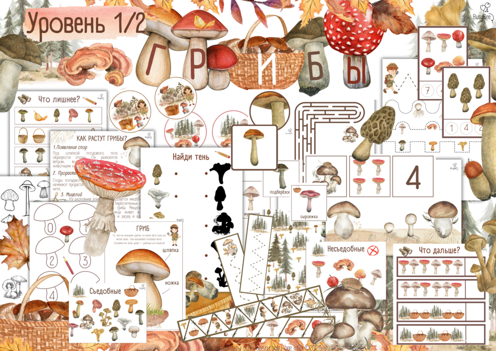ПРОЕКТ  "ГРИБЫ" УРОВЕНЬ 1/2
