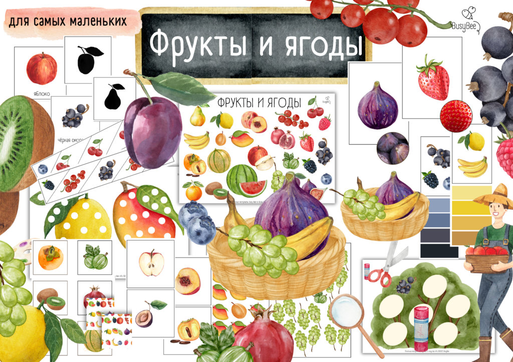 ПРОЕКТ  "ФРУКТЫ И ЯГОДЫ"