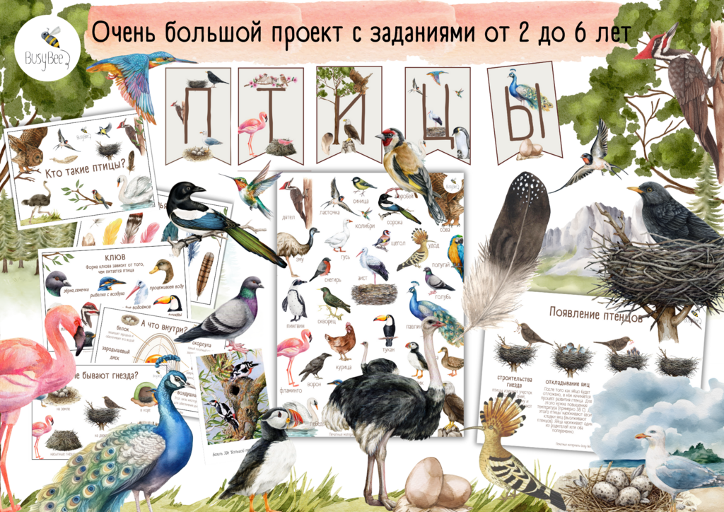 БОЛЬШОЙ ПРОЕКТ  "ПТИЦЫ"