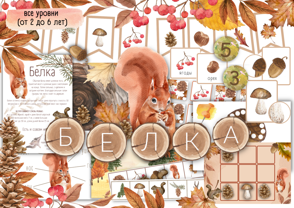 ПРОЕКТ "БЕЛКА"