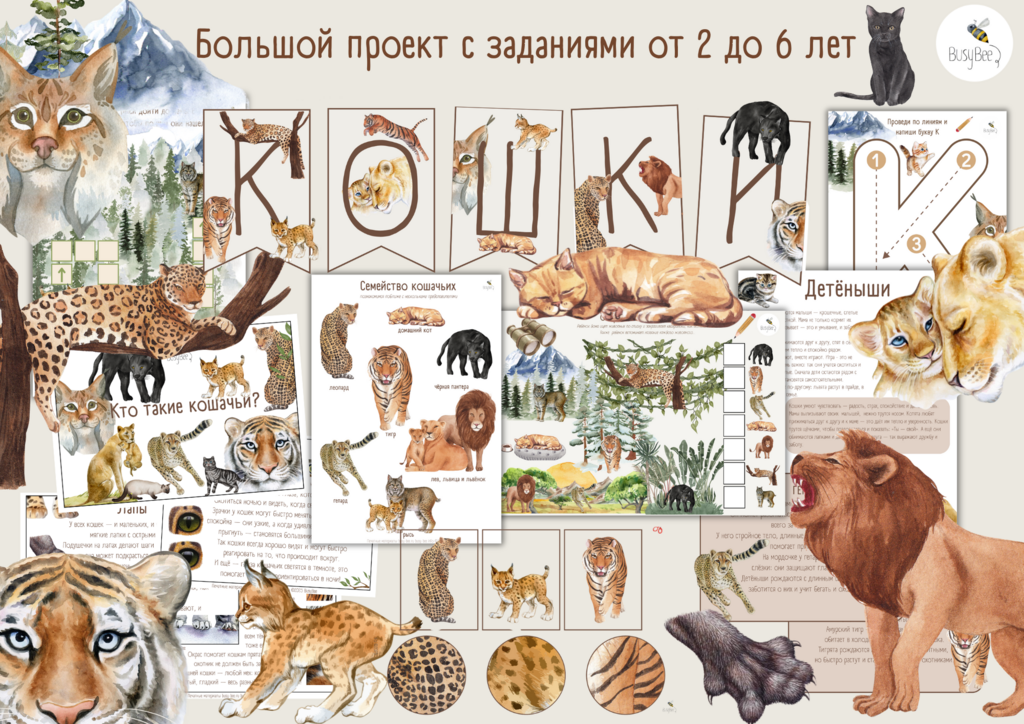 БОЛЬШОЙ ПРОЕКТ  "КОШАЧЬИ"