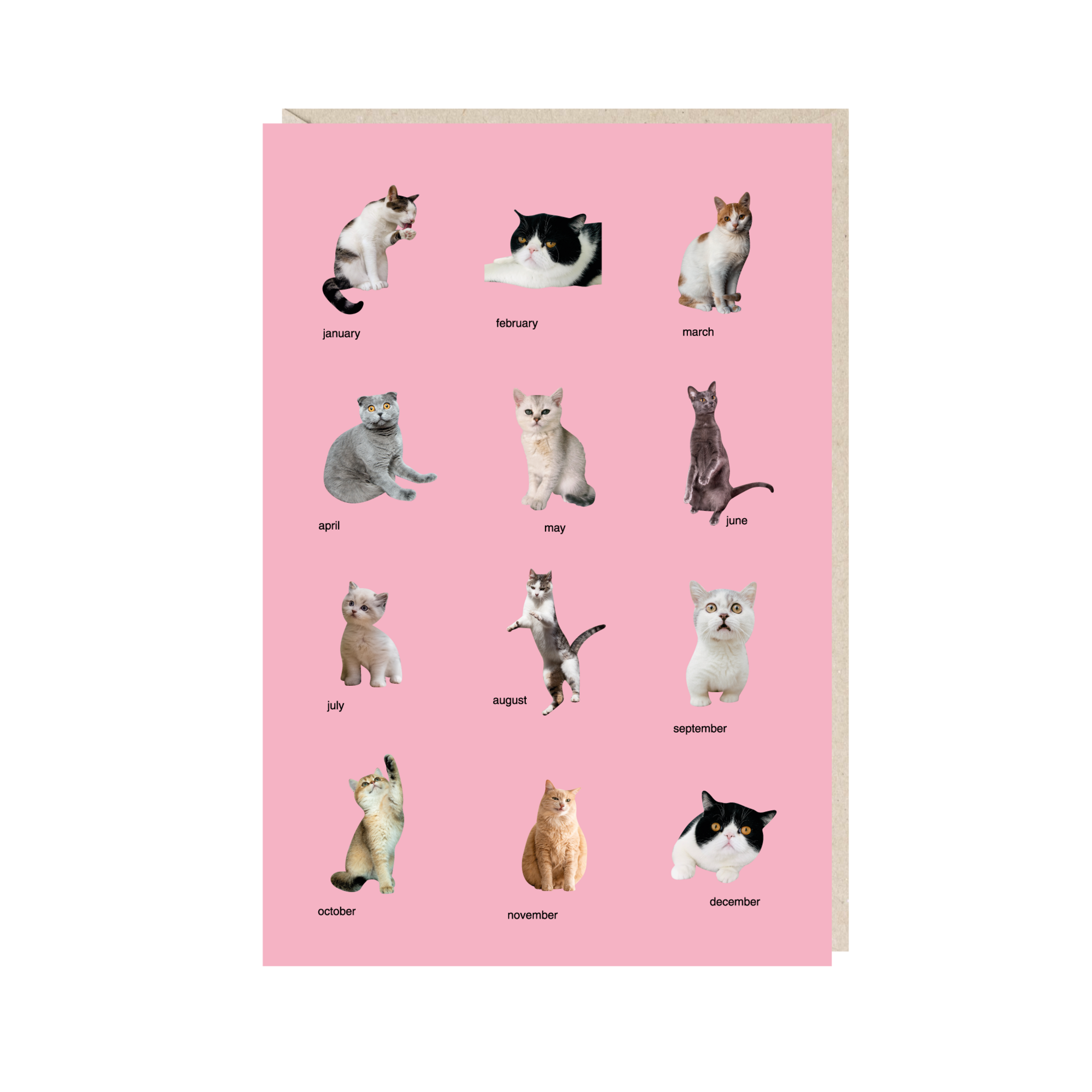 Открытка 10х15. Календарь с котиками