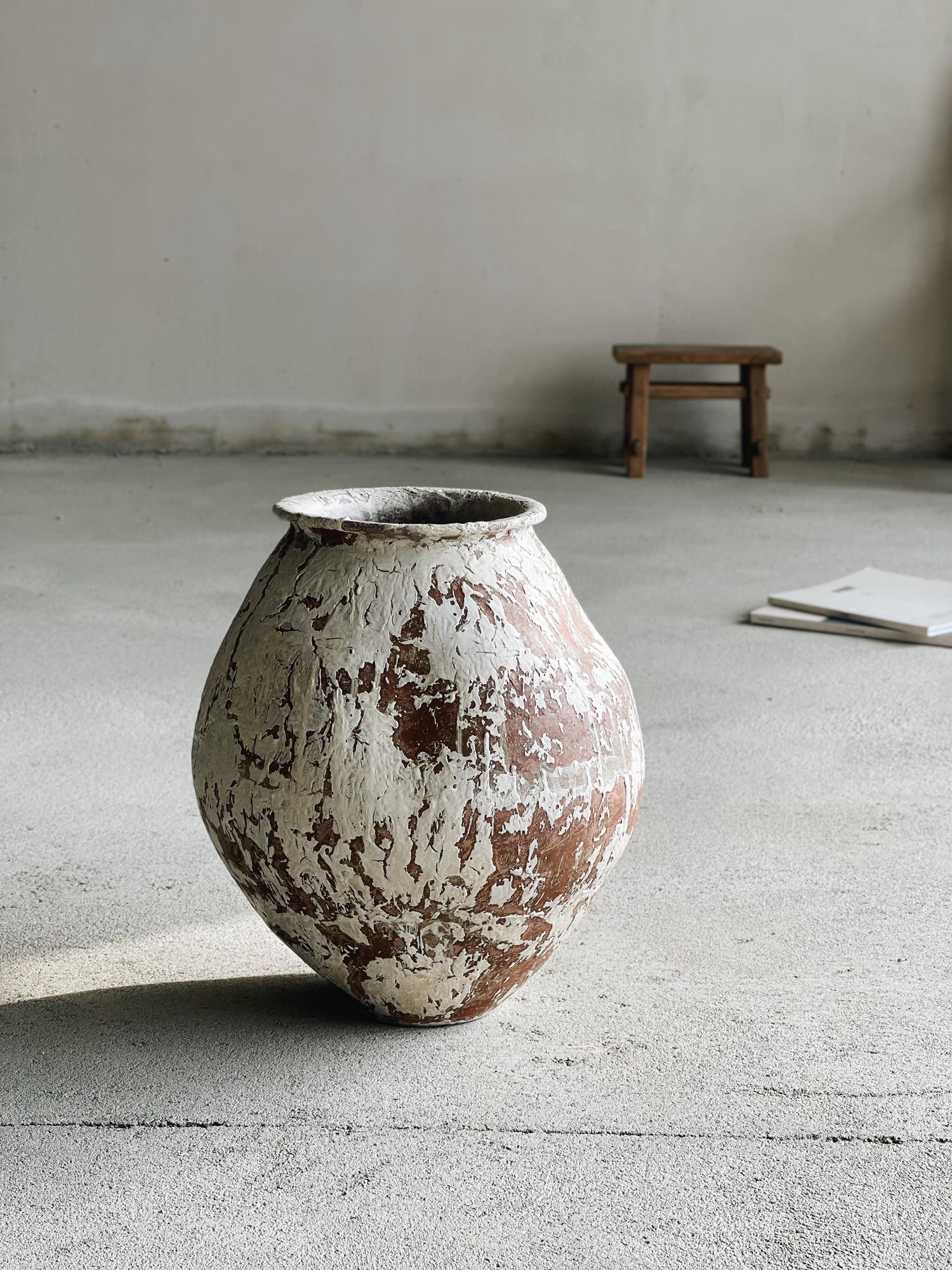 Ваза Каталония