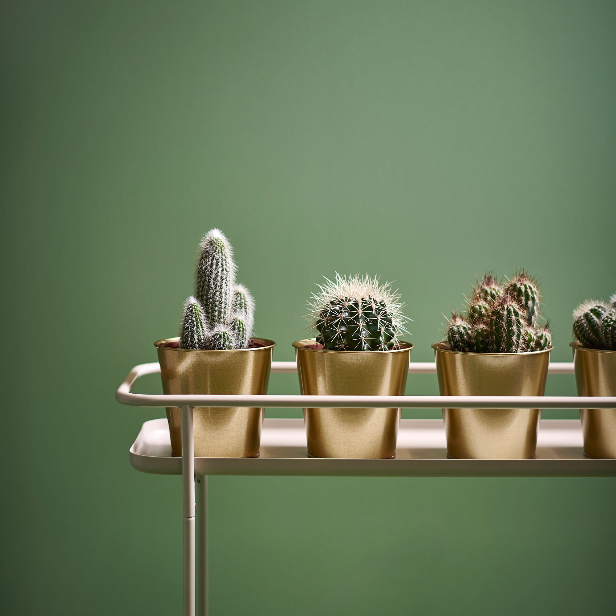 DAIDAI IKEA ДЭИДЭИ Кашпо, желтая медь 12 см