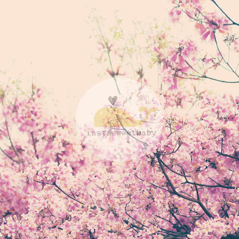 Фотофон О157