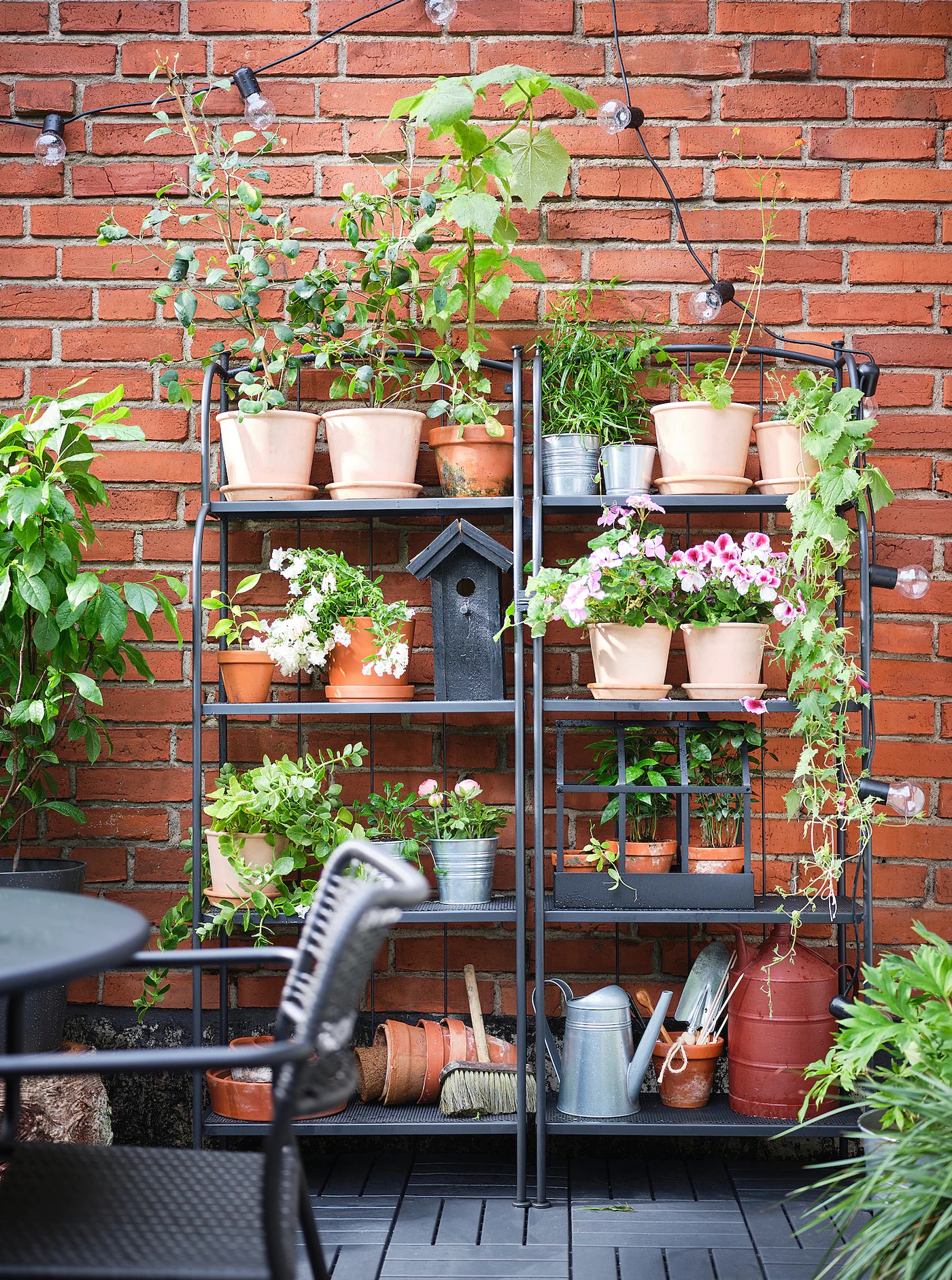 LACKO IKEA Стеллаж, для сада, серый 61x160 см