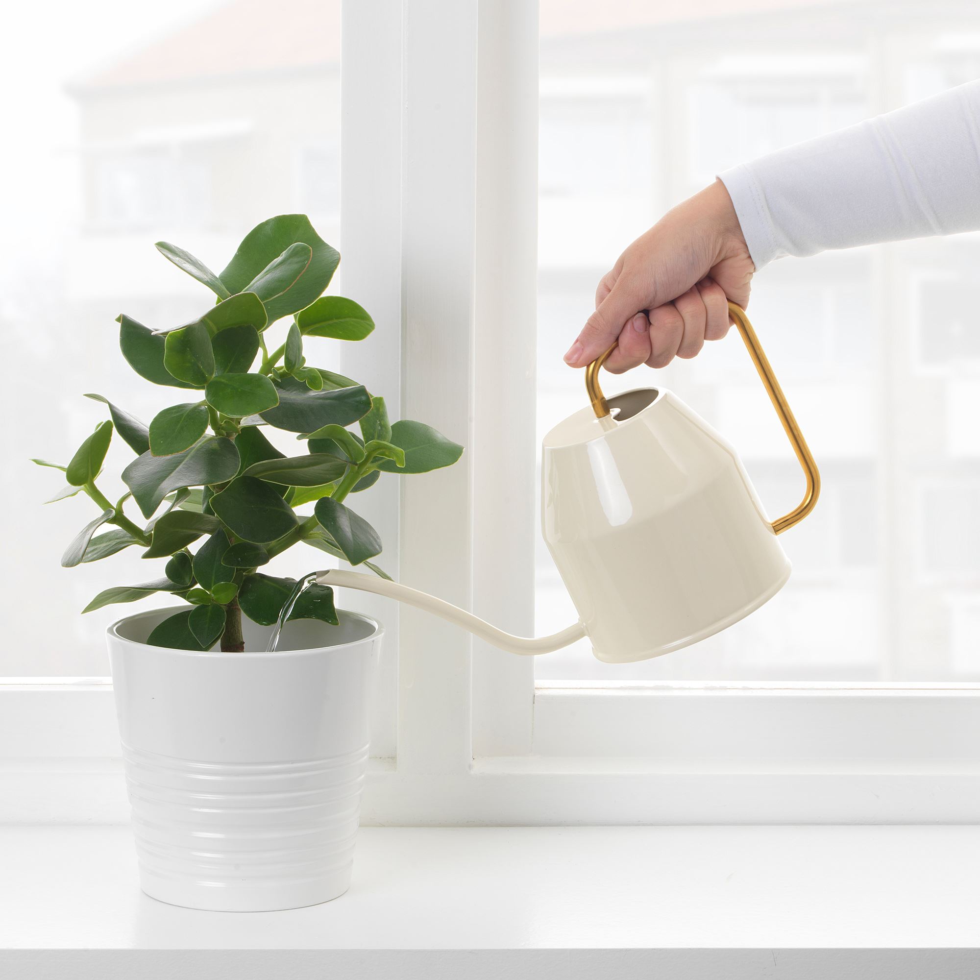VATTENKRASSE IKEA Лейка, 0.9 л, слоновая кость/золотой