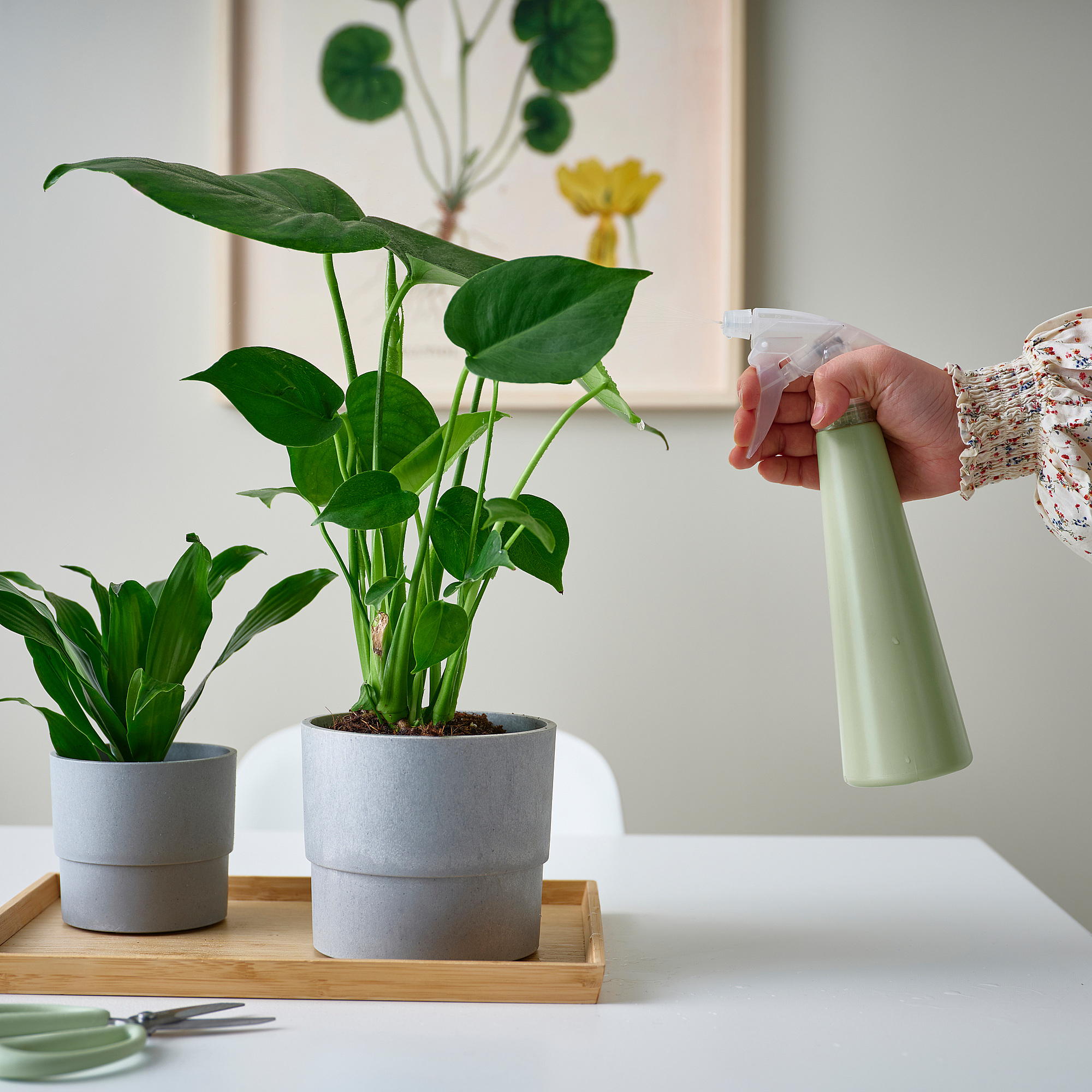 TOMAT IKEA Распылитель, светло-зеленый, 350 мл  (ТОВАР ВЫШЕЛ ИЗ АССОРТИМЕНТА)