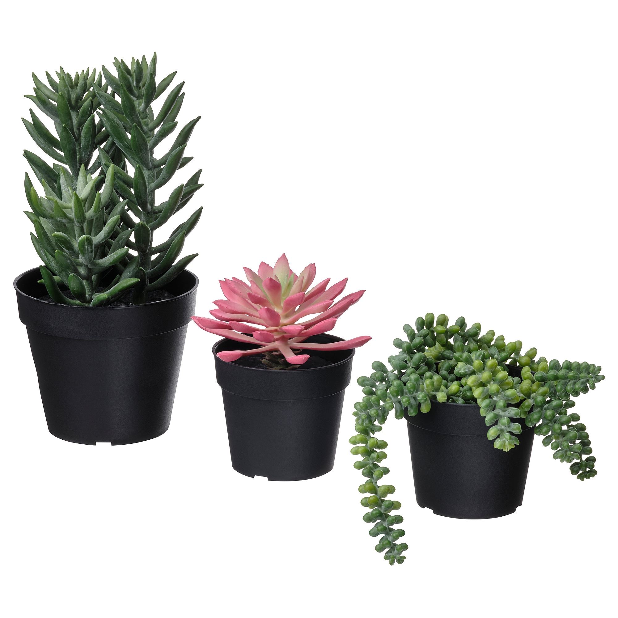 FEJKA IKEA Искусственное растение в горшке, кактус/разноцветный, 3 шт  (ТОВАР ВЫШЕЛ ИЗ АССОРТИМЕНТА)