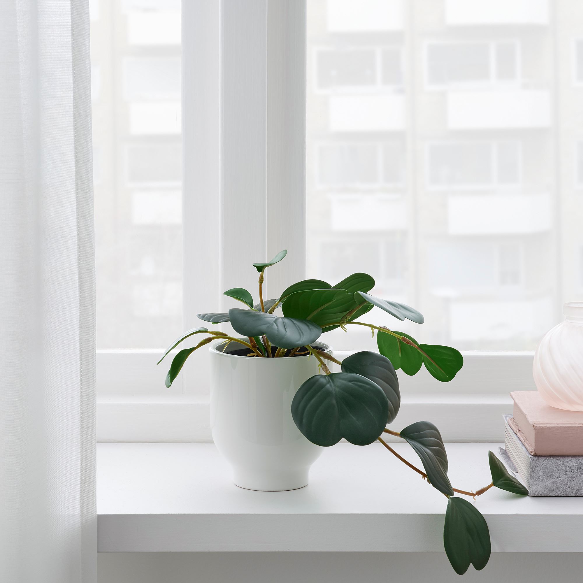 FEJKA IKEA Искусственное растение в горшке, пеперомия/зелёный, 9 см (ТОВАР ВЫШЕЛ ИЗ АССОРТИМЕНТА)