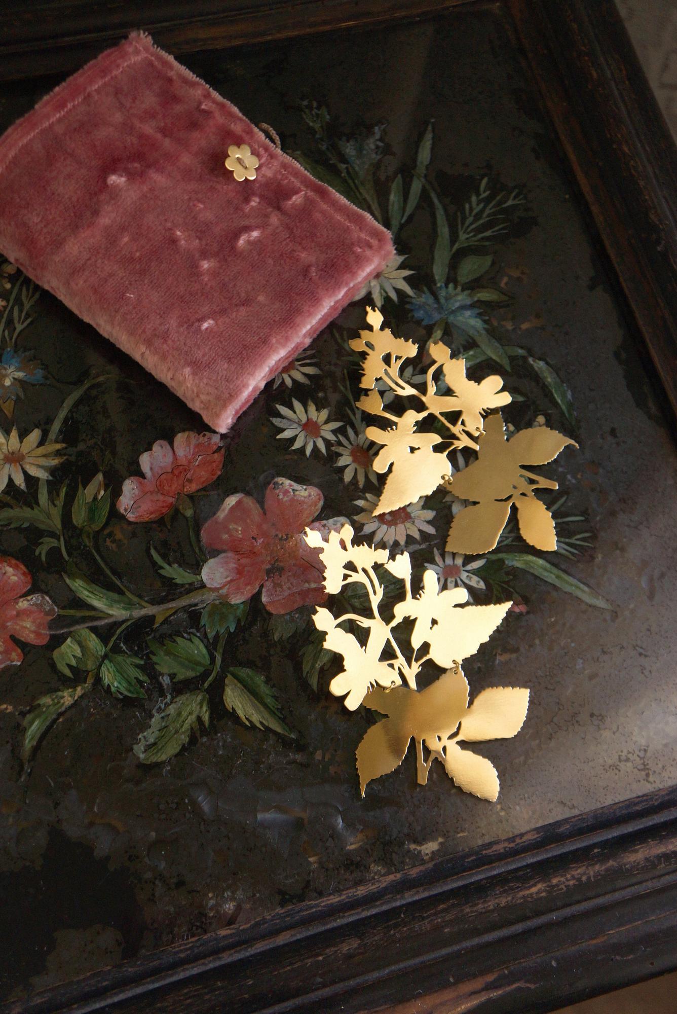 Rubus Villosus (Ежевика кучерявая)