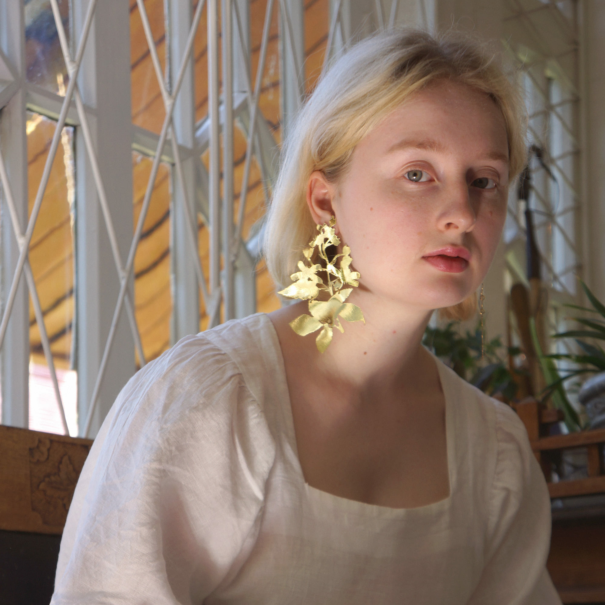 Rubus Villosus (Ежевика кучерявая)