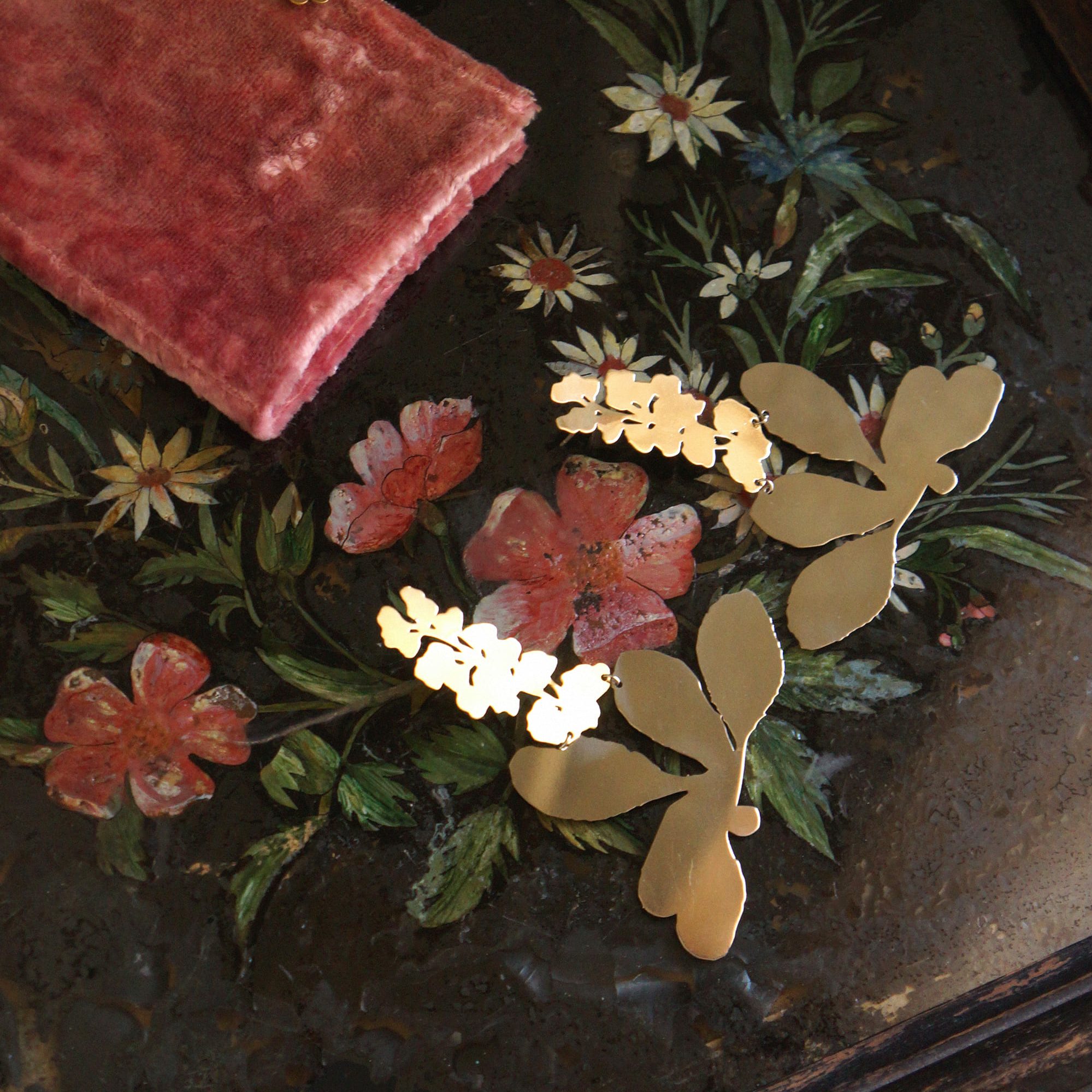 Berberis Vulgaris (Барбарис обыкновенный)