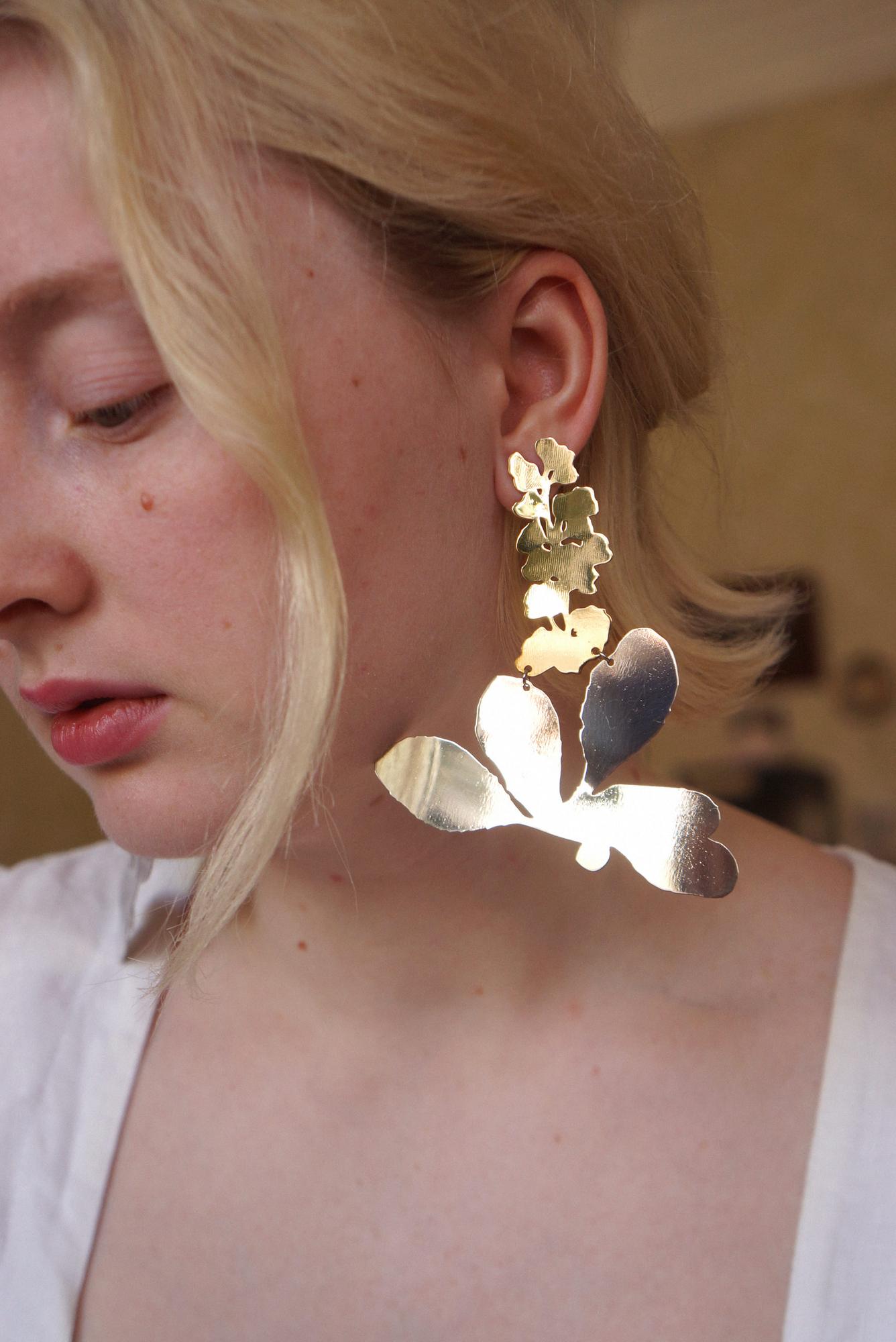 Berberis Vulgaris (Барбарис обыкновенный)