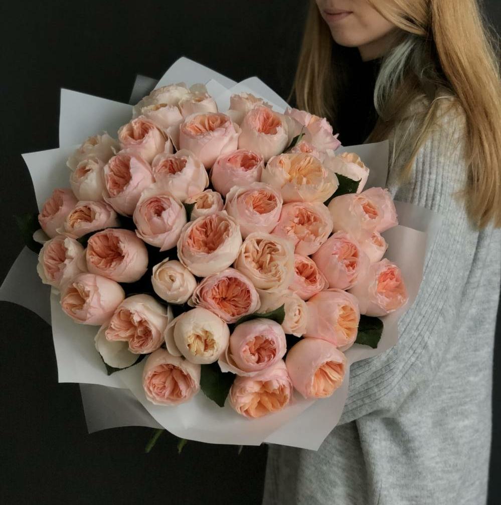 51 роза. Букет английских роз персикового цвета  #178