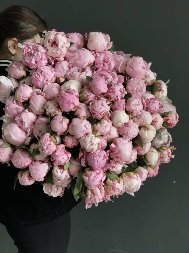 Большие пионы розового цвета 101 шт