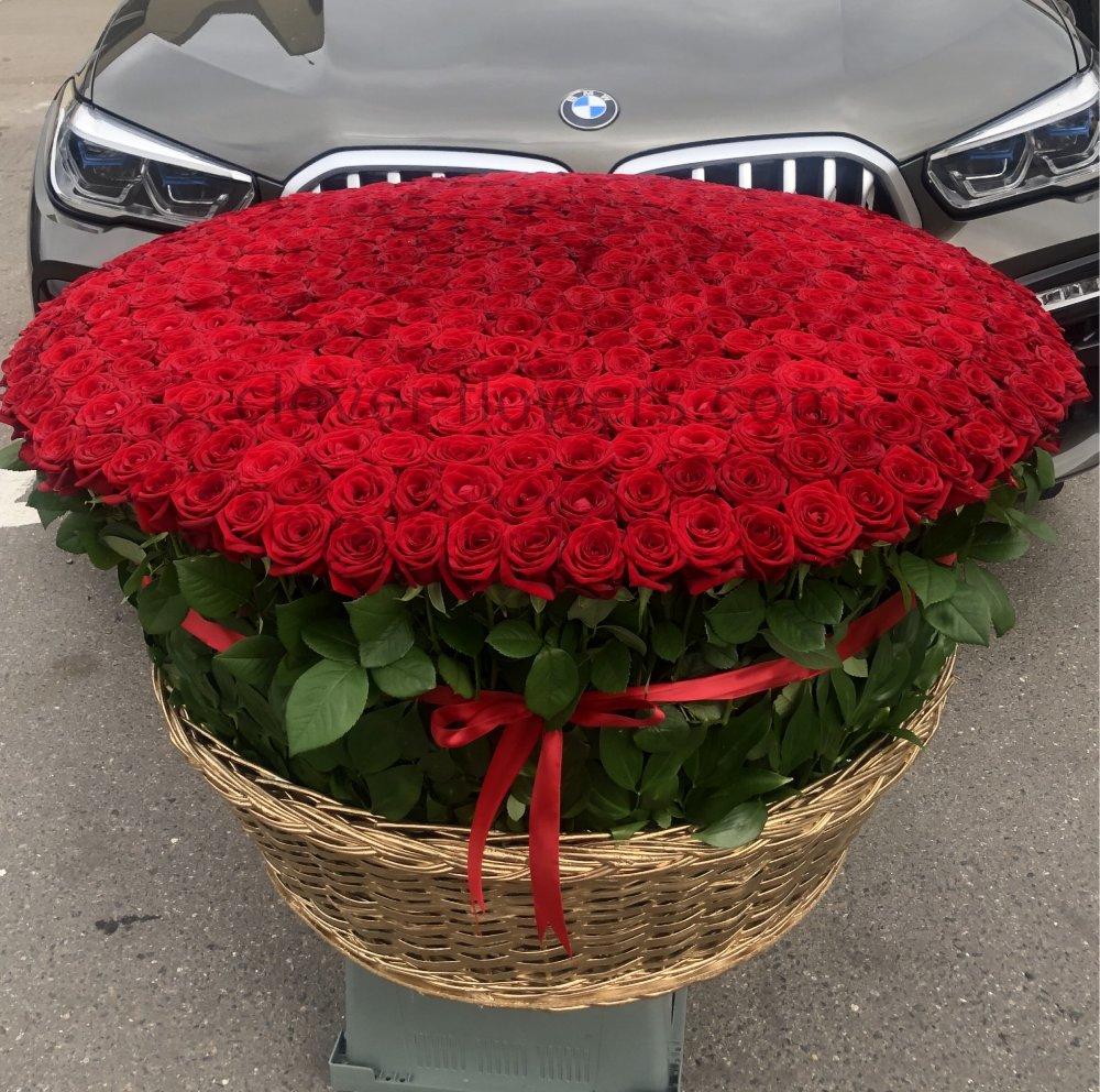 Букет 301 роза купить