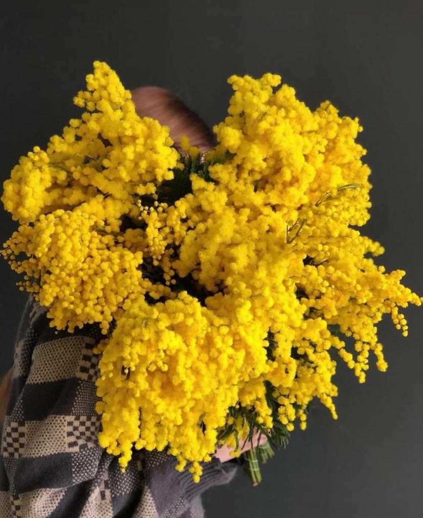 Букет мимозы