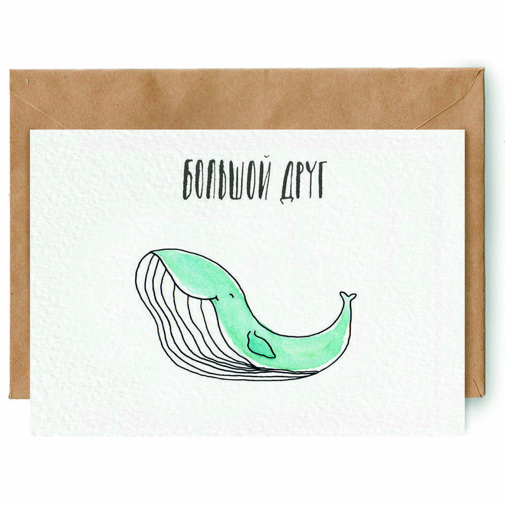 киты "БОЛЬШОЙ ДРУГ"