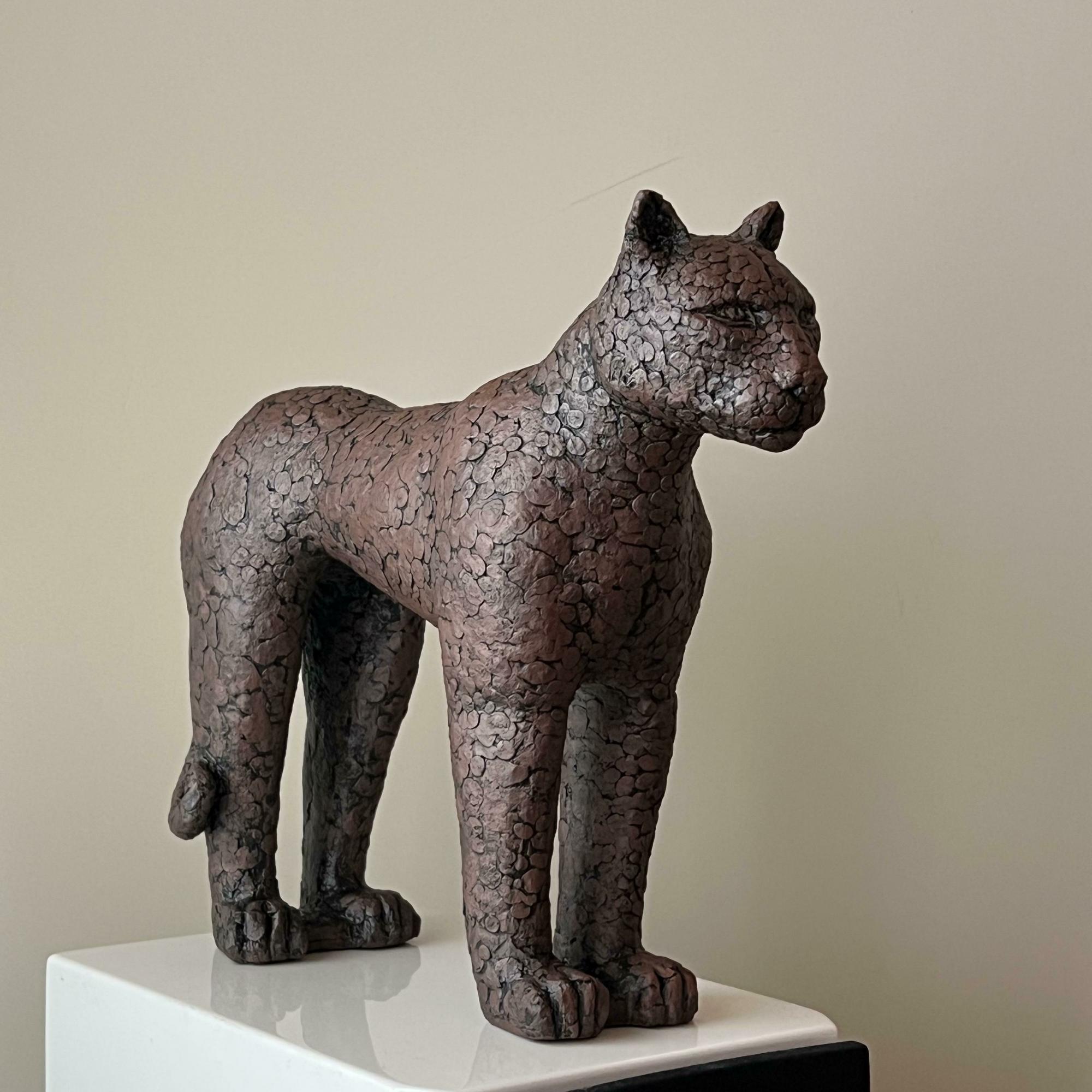 rita tiger