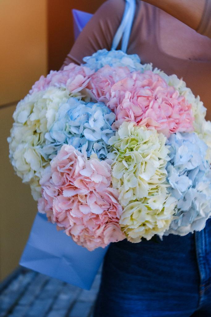 Моно из Гортензии