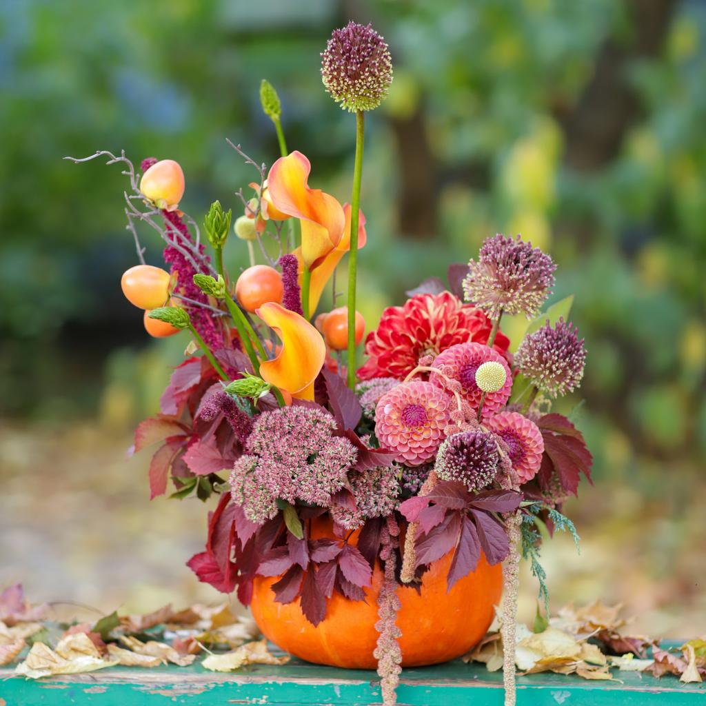 Цветочная тыква № 3