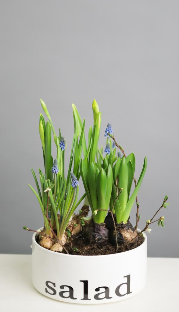 Цветочный сад №126