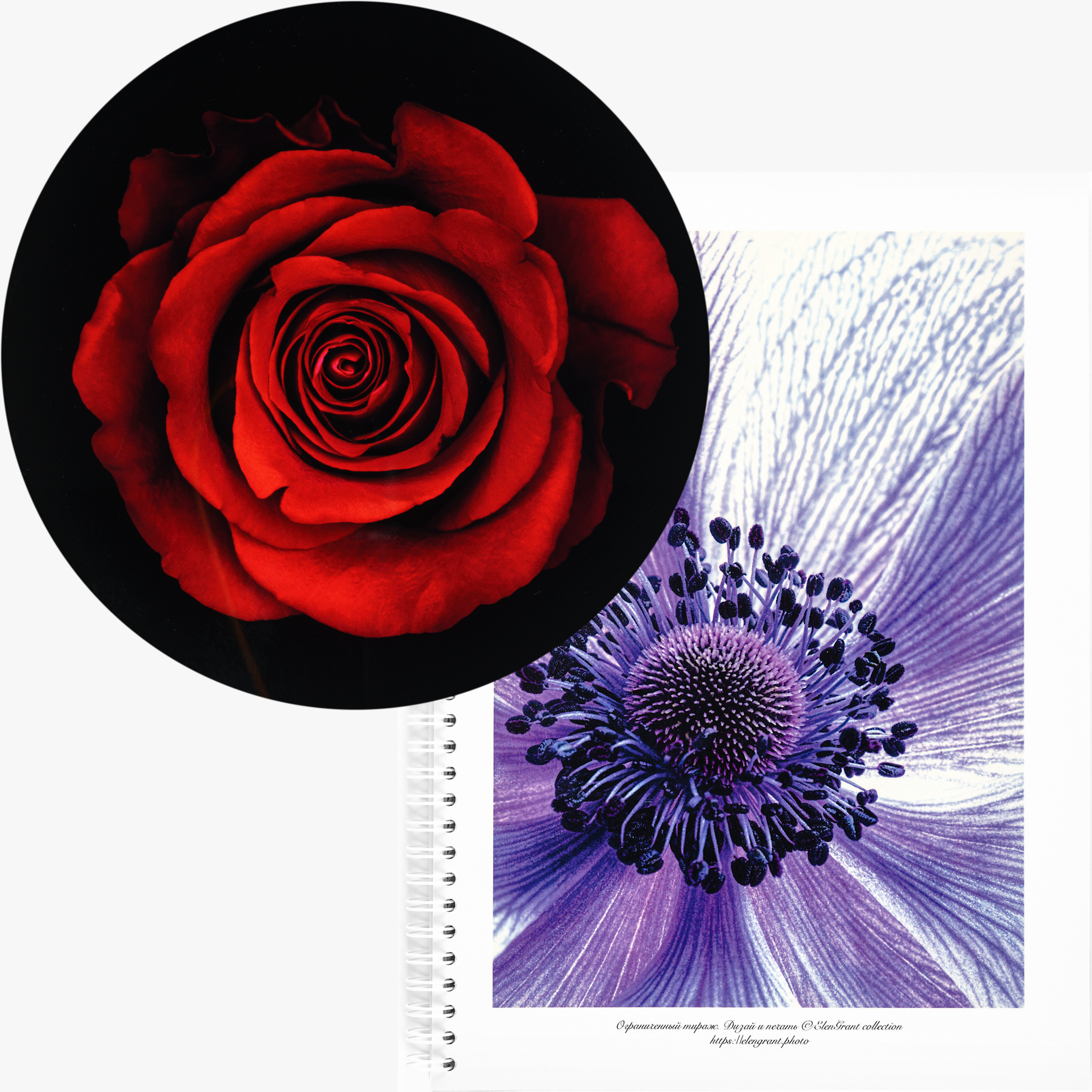 Set "Rose and Anemona" Picture & big Notebook