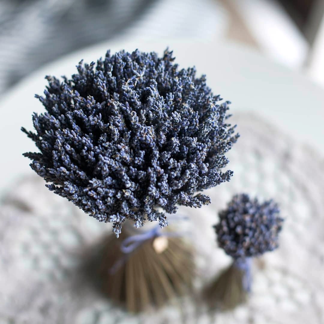 Моно букет из  Крымского лавандина